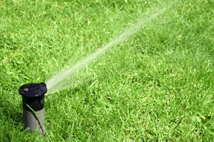 lawn irrigation systems savannah